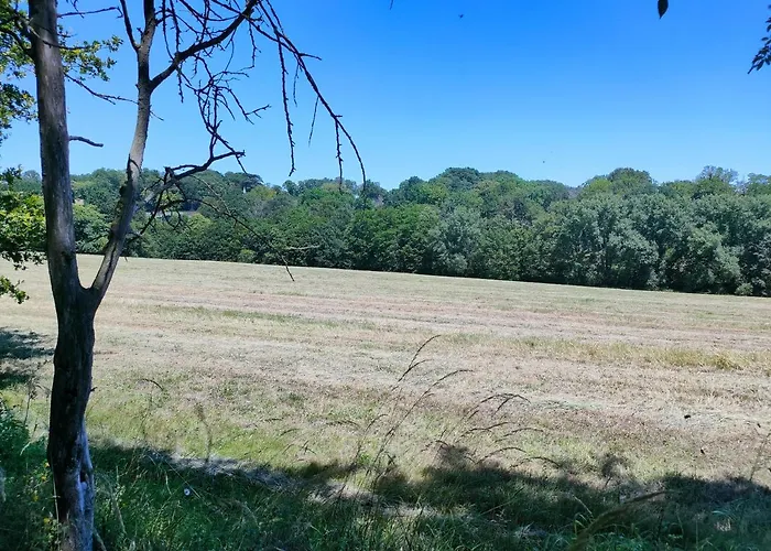 Dans Le Rêves De Gamins, Proche Du Pôle Européen Et Du Circuit Des 24h *