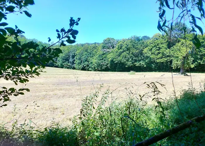 Dans Le Rêves De Gamins, Proche Du Pôle Européen Et Du Circuit Des 24h Sarge Les Le Mans