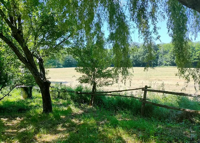 Dans Le Rêves De Gamins, Proche Du Pôle Européen Et Du Circuit Des 24h * Sarge Les Le Mans