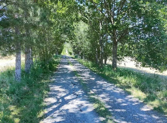 Dans Le Rêves De Gamins, Proche Du Pôle Européen Et Du Circuit Des 24h Casa de Férias *