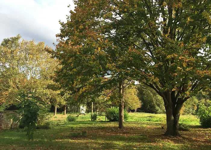 Dans Le Rêves De Gamins, Proche Du Pôle Européen Et Du Circuit Des 24h Casa de Férias Sarge Les Le Mans