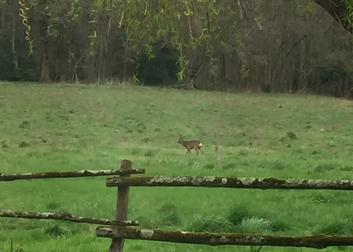 Dans Le Rêves De Gamins, Proche Du Pôle Européen Et Du Circuit Des 24h * Sarge Les Le Mans