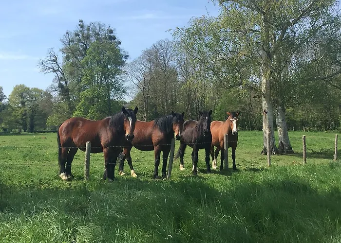 Dans Le Rêves De Gamins, Proche Du Pôle Européen Et Du Circuit Des 24h Casa de Férias Sarge Les Le Mans